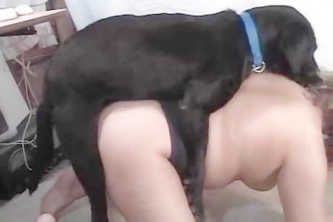 Man Fuck Pig Porn Man Fuck Pig Porn