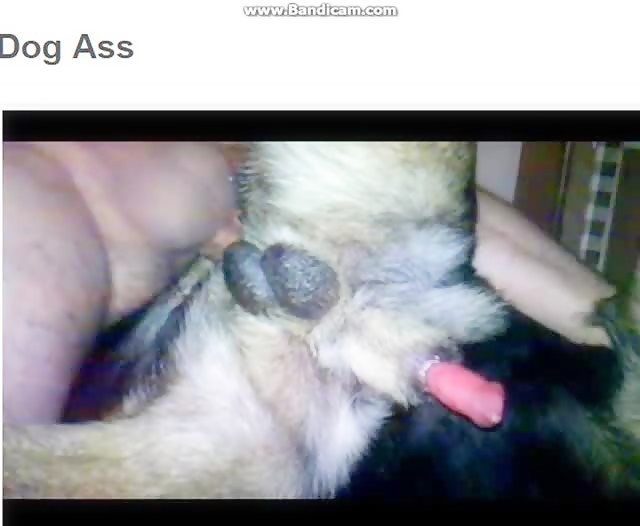 Man dog sex